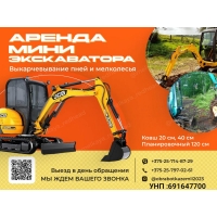 Аренда мини экскаватора