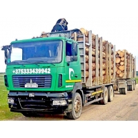Аренда лесовоза-сортиментовоза. в Могилевская область Аренда лесовоза-сортиментовоза.