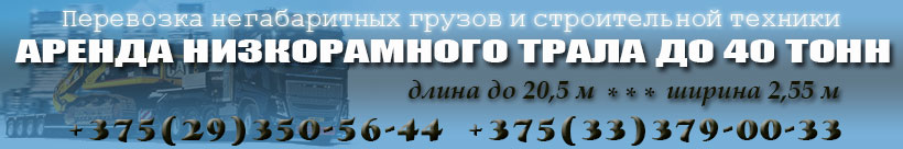 banner banner